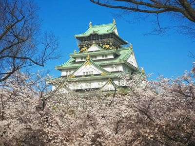Himeji Castle sits behind a mass of cherry blossoms