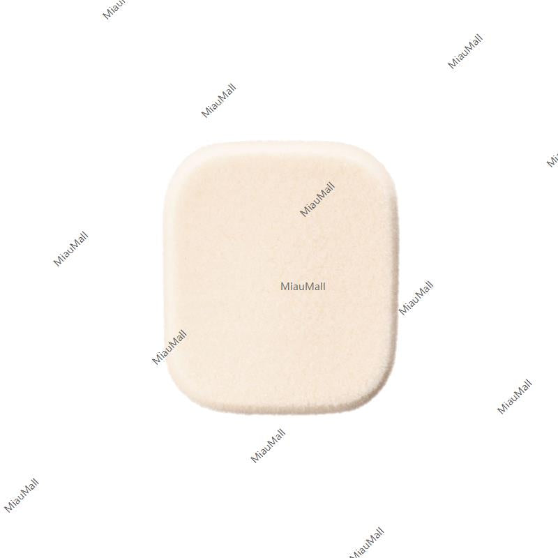 POLA B.A Powdery Foundation