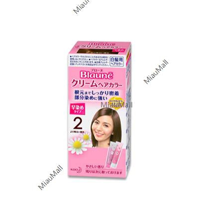 KAO Blaune Cream Hair Color