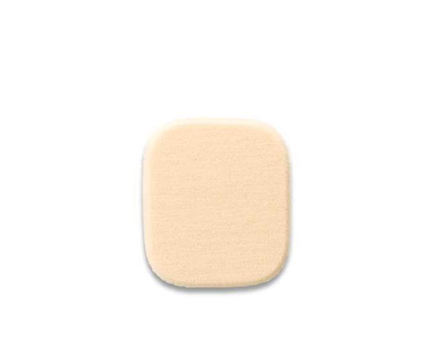Shiseido D PROGRAM Powdery Foundation