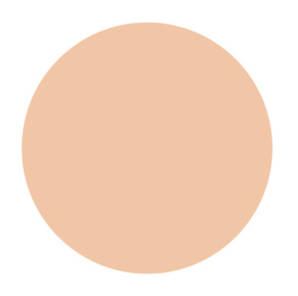 Shiseido D PROGRAM Powdery Foundation