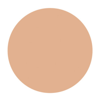 Shiseido D PROGRAM Powdery Foundation