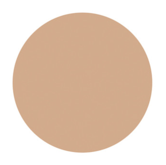Shiseido D PROGRAM Powdery Foundation