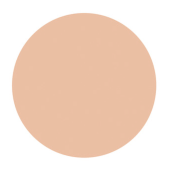 Shiseido D PROGRAM Powdery Foundation