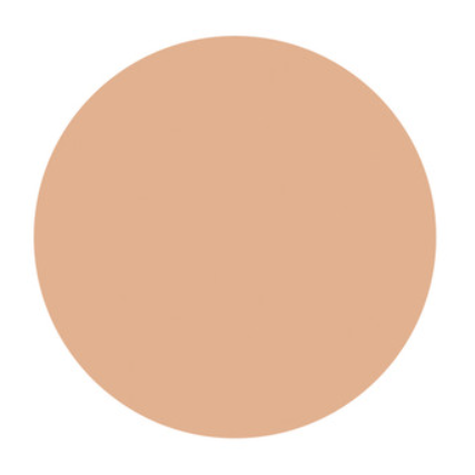 Shiseido D PROGRAM Powdery Foundation