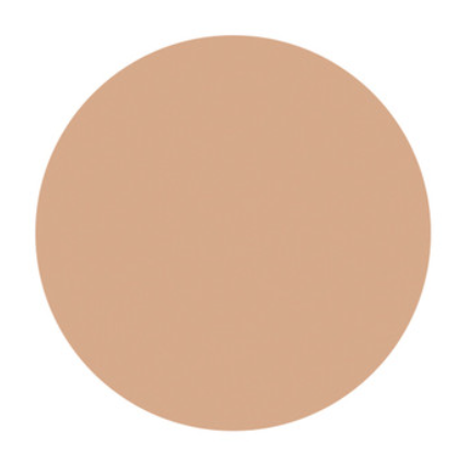 Shiseido D PROGRAM Powdery Foundation