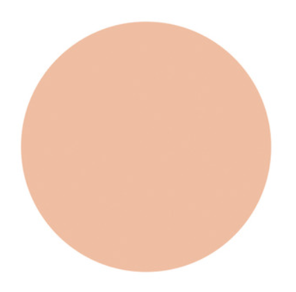 Shiseido D PROGRAM Powdery Foundation