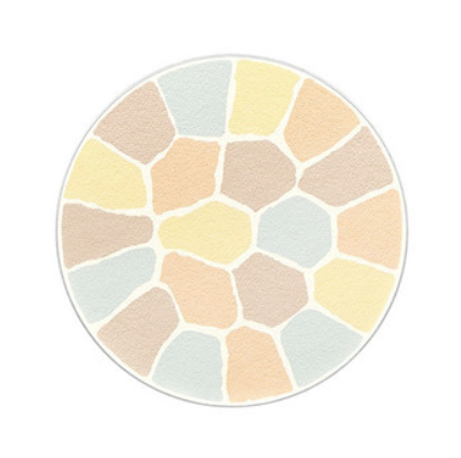 ALBION ELEGANCE La Poudre Haute Nuance Face Powder