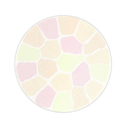 ALBION ELEGANCE La Poudre Haute Nuance Face Powder