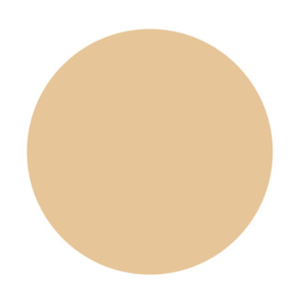 POLA B.A Powdery Balm Foundation M
