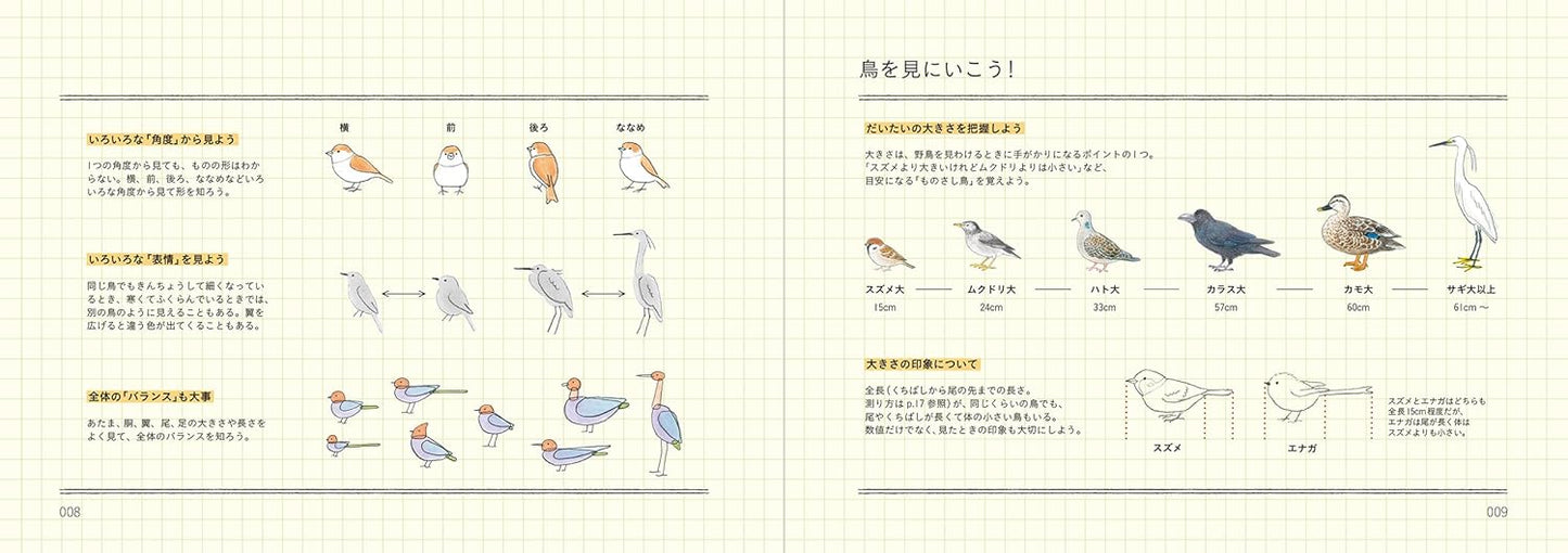 PREORDER How to Draw Japan's Wild Birds: An Illustrated Guide