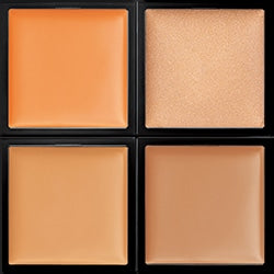 ADDICTION Skin Reflect Fresh Concealer