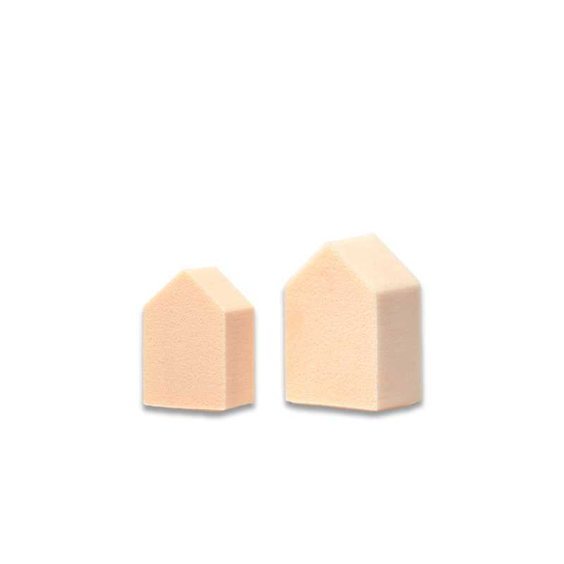 Rosy Rosa Jelly Touch Sponge (House-Shaped) – Chante