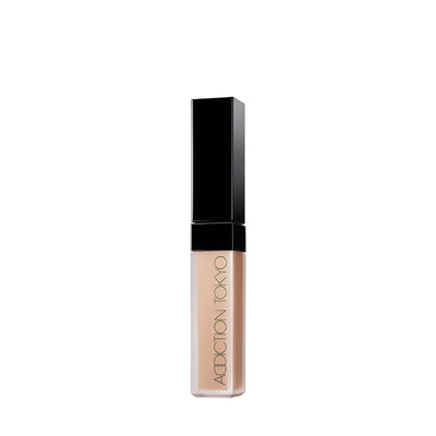 ADDICTION Skin Reflect Fix Concealer