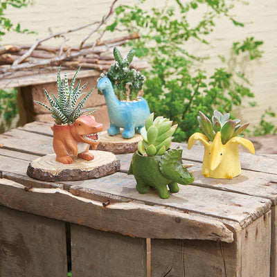 KEI Mosasaur Planter