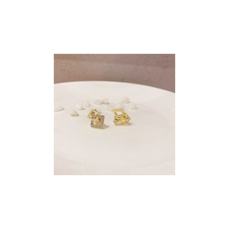Lupis Twin Square Frame Earrings