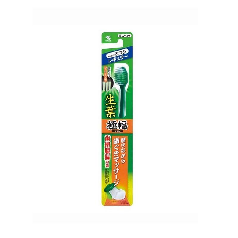 Kobayashi Shoyo Wide Toothbrush