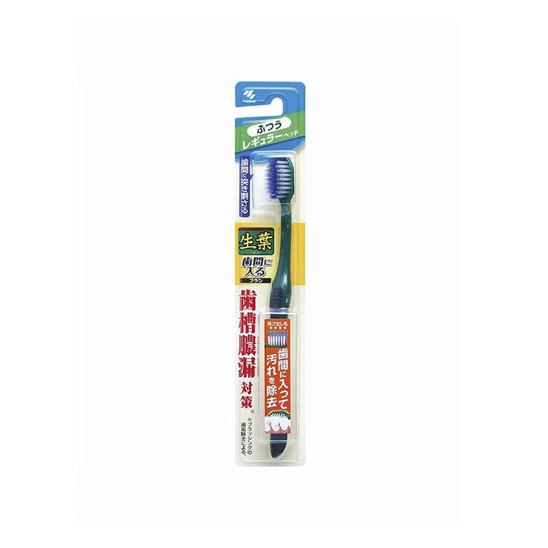 Kobayashi Interdental Toothbrush