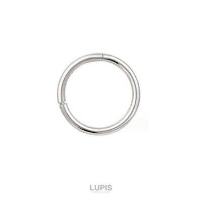 LUPIS 16G Simple Petit Segment Ring Body Earrings