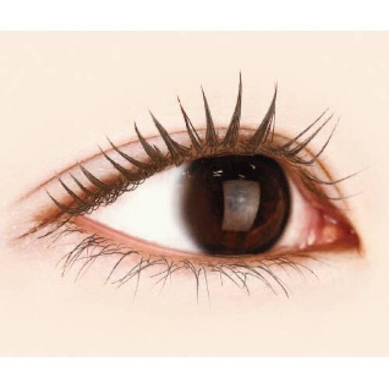 CANMAKE Metalook Mascara (03 Sweet Black)