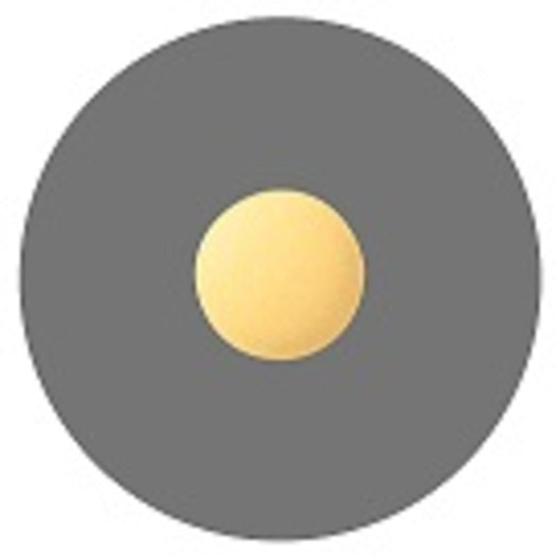 TAISHO Pabron Ace Pro 통증 완화 약품