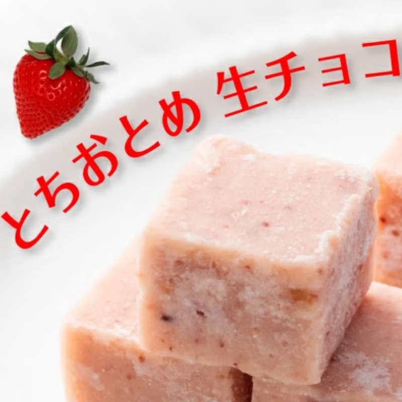 CHOCOLATE BAR R 나마초콜릿(얼그레이/딸기/비터)