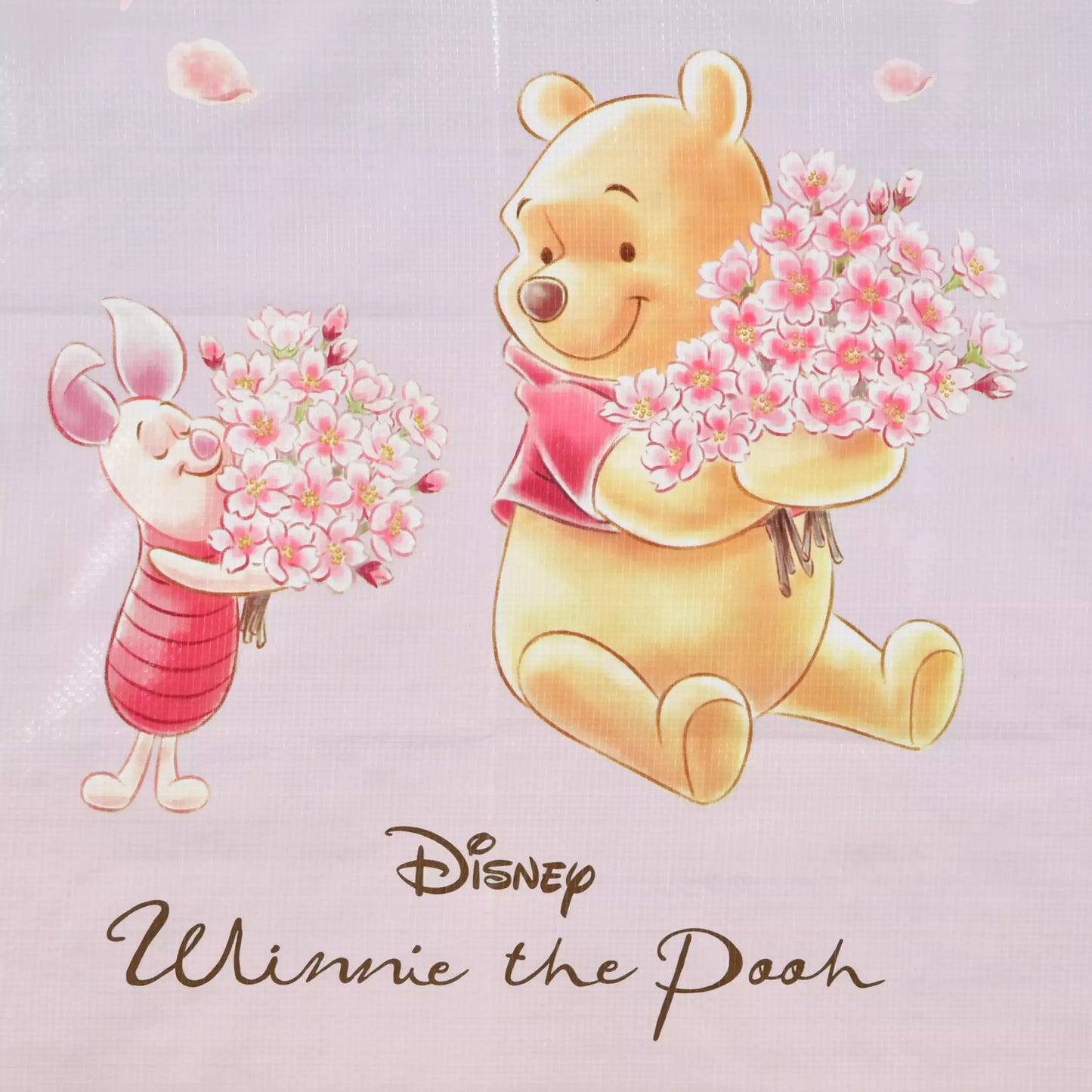 Disney Sakura Winnie the Pooh and Piglet Picnic Blanket with Pouch