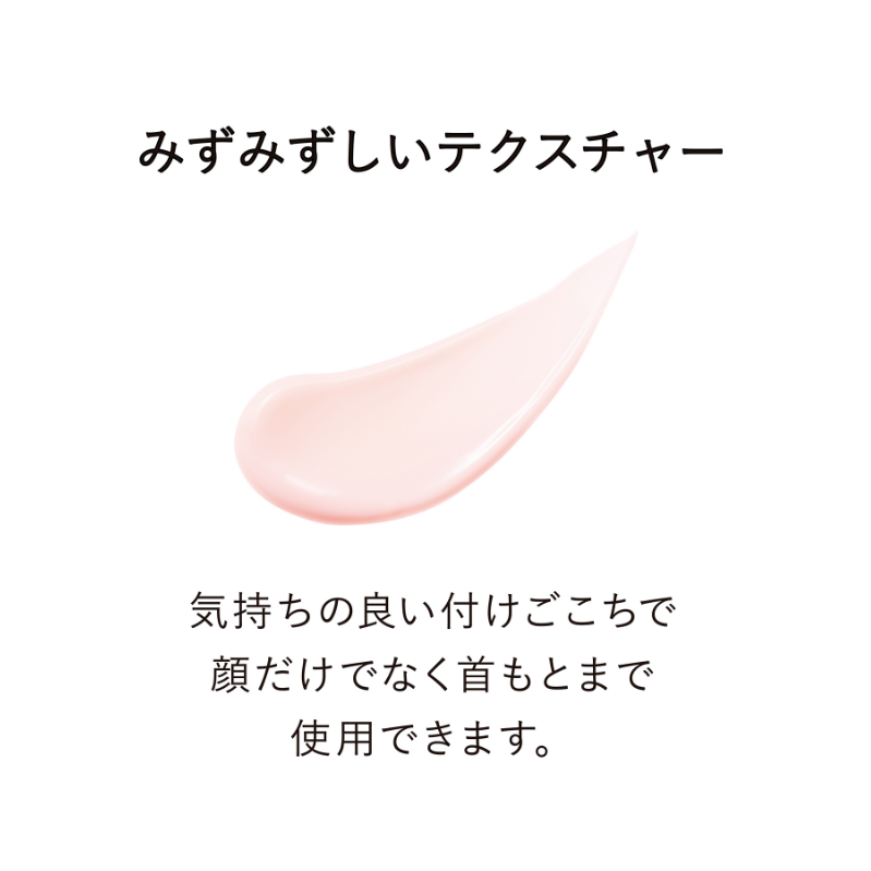 Kanebo Veil of Day Primer (60 g)