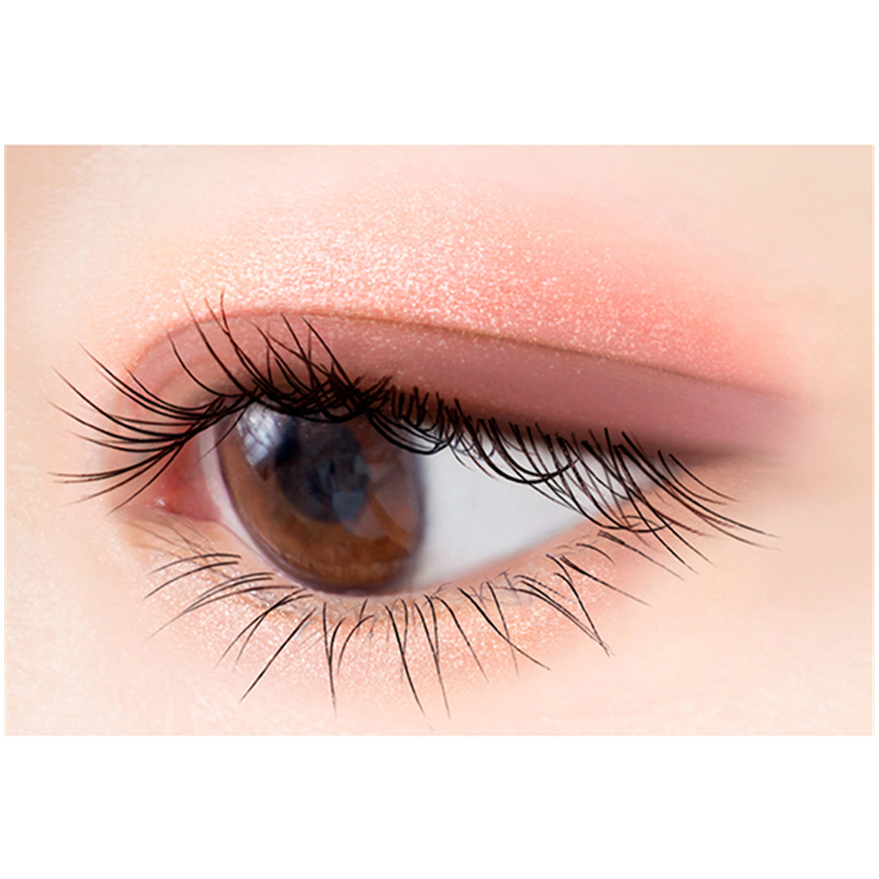 EXCEL Real Close Eyeshadow CX07/CX08