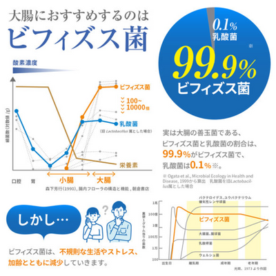 Morinaga Bifidus BB536 Probiotic Supplement