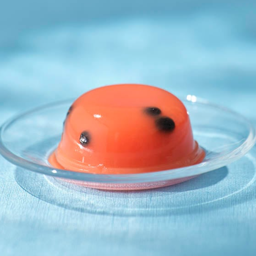 Suika & Azuki Summer Dessert with Snow Salt