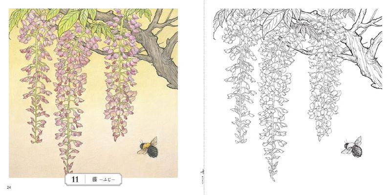 PREORDER Flower Coloring Book: The Beauty of Japan's Four Seasons