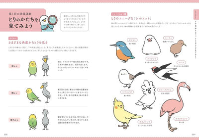 PREORDER BIRDSTORY: A Guide to Drawing Cute Birds