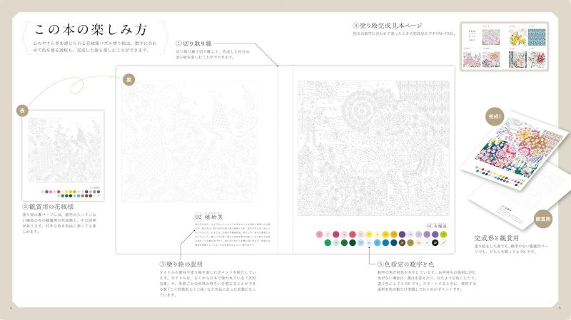 PREORDER Healing Design Pattern Puzzle Coloring Book: Floral Patterns Collection