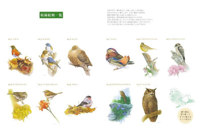 PREORDER Adult Coloring Book: Japanese Wild Birds