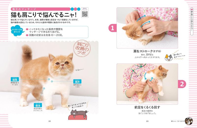 PREORDER Melt-in-Bliss Cats: Acupressure & Lymphatic Massage for Feline Wellness