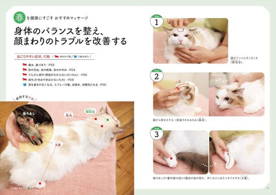 PREORDER Seasonal Cat Massage: Year-Round Care for Your Cat’s Well-Being