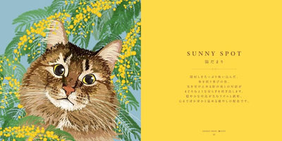 PREORDER Cat Color Palette: A Journey Through the Seasons and the World
