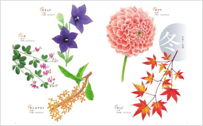 PREORDER 24 Solar Terms Flower Coloring Book: Coloring the Seasons with 24 Flowers