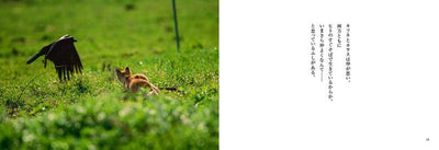 PREORDER My Animal Caricatures - Photo Book of Animals at Play