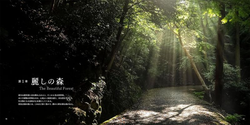 PREORDER The Forest Where Creatures Live - Kasugayama Primeval Forest Photography Book