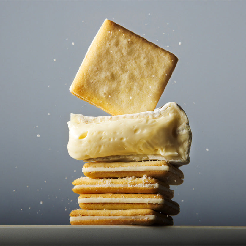 PREORDER Tokyo Milk Cheese Factory: Salt & Camembert Cheese Cookies (Pack of 9)