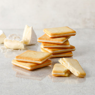 PREORDER Tokyo Milk Cheese Factory: Salt & Camembert Cheese Cookies (Pack of 9)