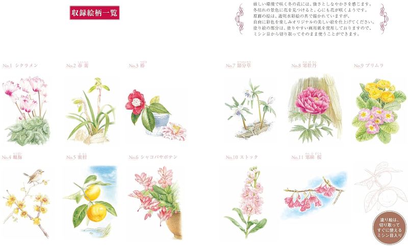 PREORDER Easy Adult Coloring Book: Flowers in Bloom During Winter