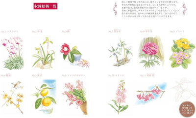 PREORDER Easy Adult Coloring Book: Flowers in Bloom During Winter