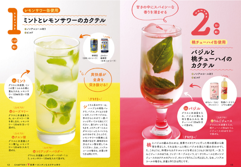 PREORDER Home Cocktails for Beginners: Just 3 Easy Steps!