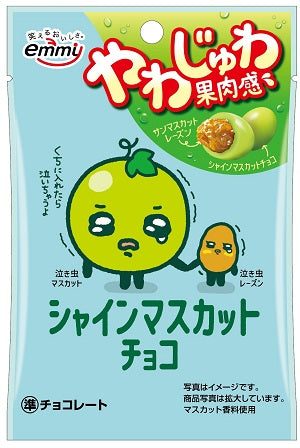 Shoei Shine Muscat Raisin Chocolate 30g