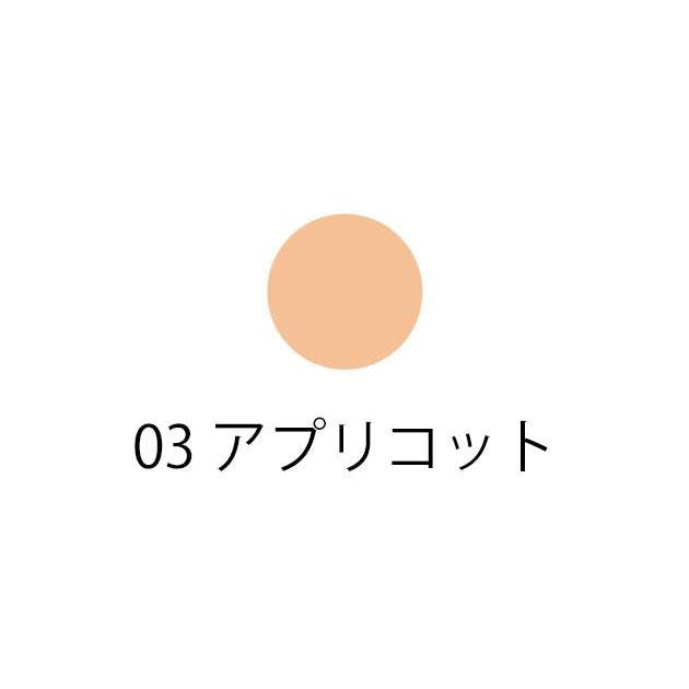 Shiseido INOUI Concealer