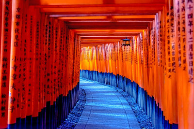 Fushimi Inari-taisha Shrine in Uji, Kyoto