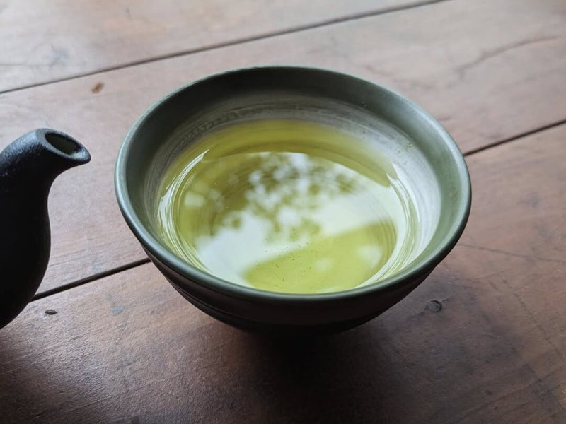 What is Sencha? A MiauMall Guide to Japan's Most Popular Tea